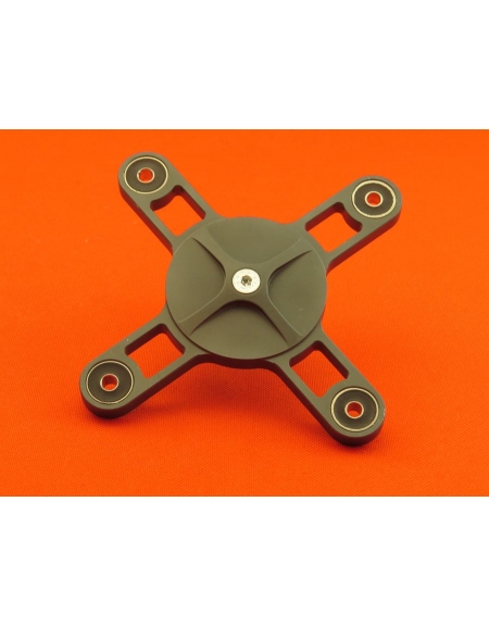 Pająk szarpaczki Moster